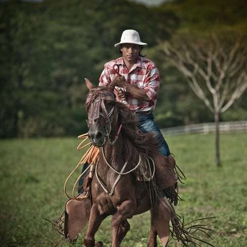 Man in a white hat and plaid shirt riding a brown horse across a green field