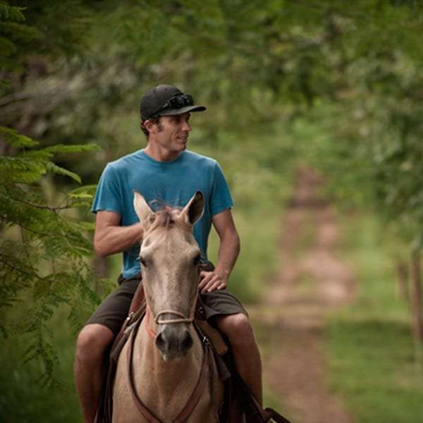 Man in a cap and blue T-shirt riding a pale horse along a shaded dirt trail
