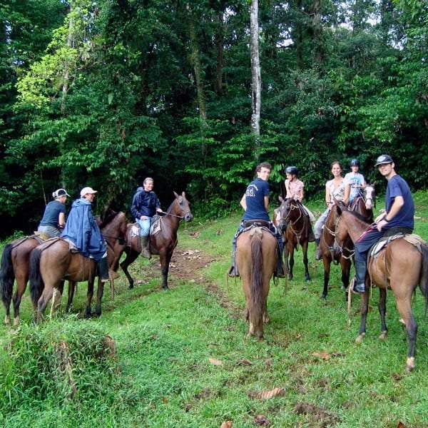 Group on horseback pausing in a green clearing at the edge of the forest
