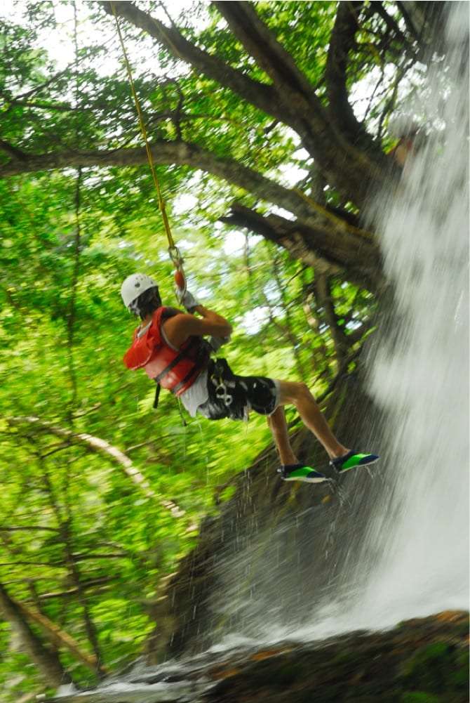 Canyoning guest in a life vest rappelling beside a waterfall under overhanging trees