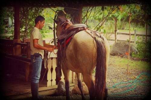 Man in boots saddling a pale horse beside a wooden porch