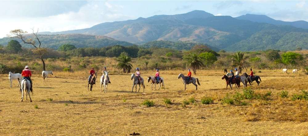 Horseback group spread across a golden field with palm trees and mountains behind