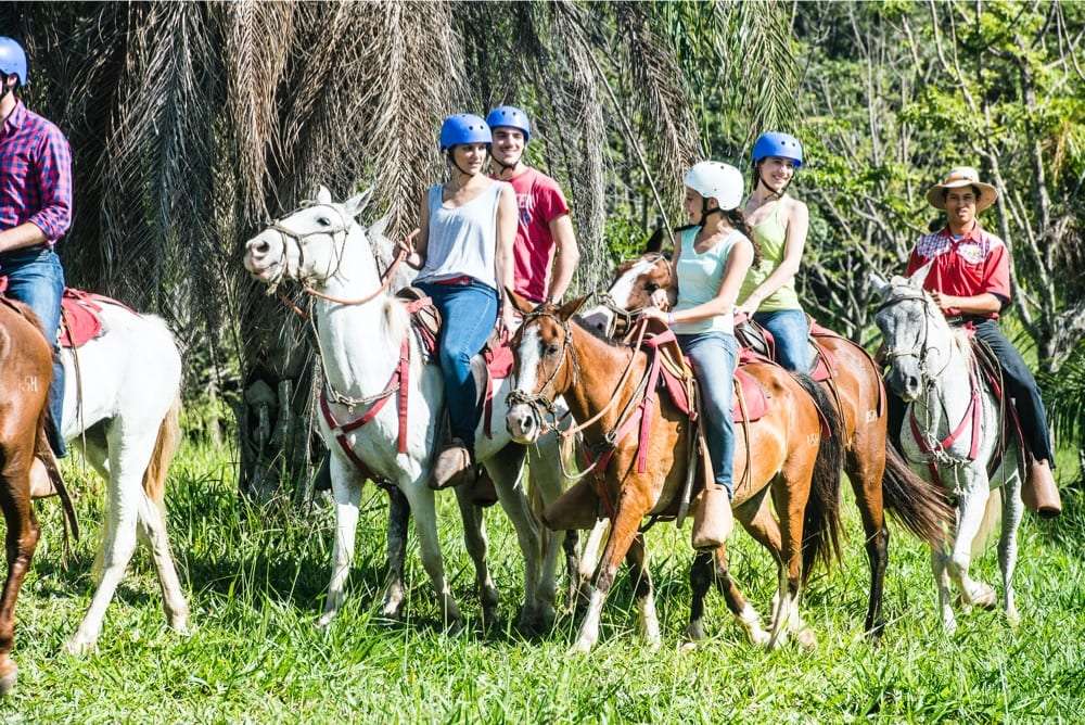 Riders in blue and white helmets side by side on horses in front of palm fronds