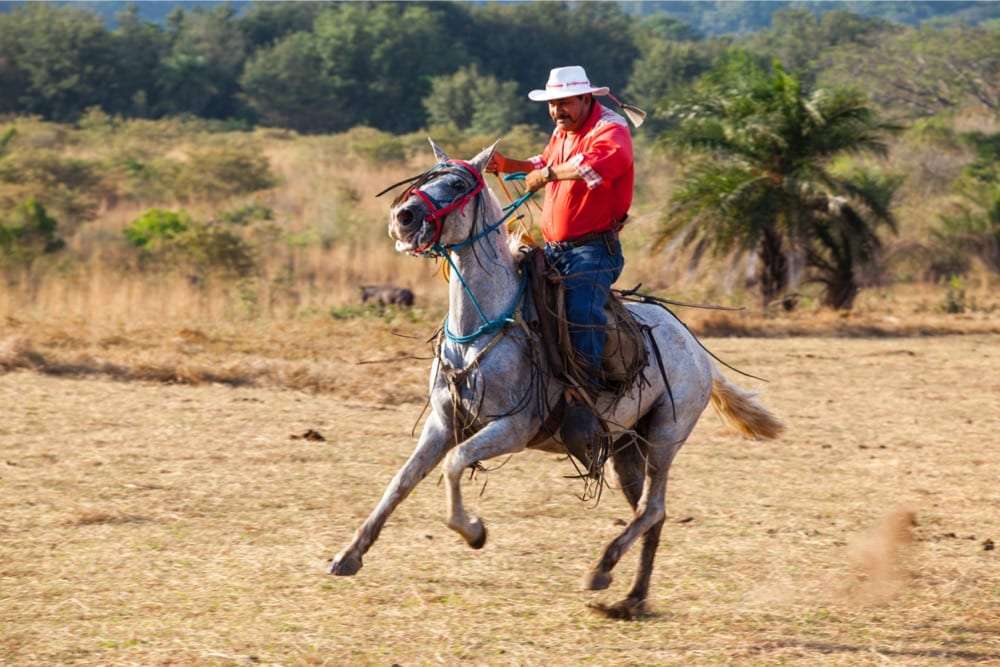 Man in a white hat and red shirt riding a grey horse at a gallop across dry grass