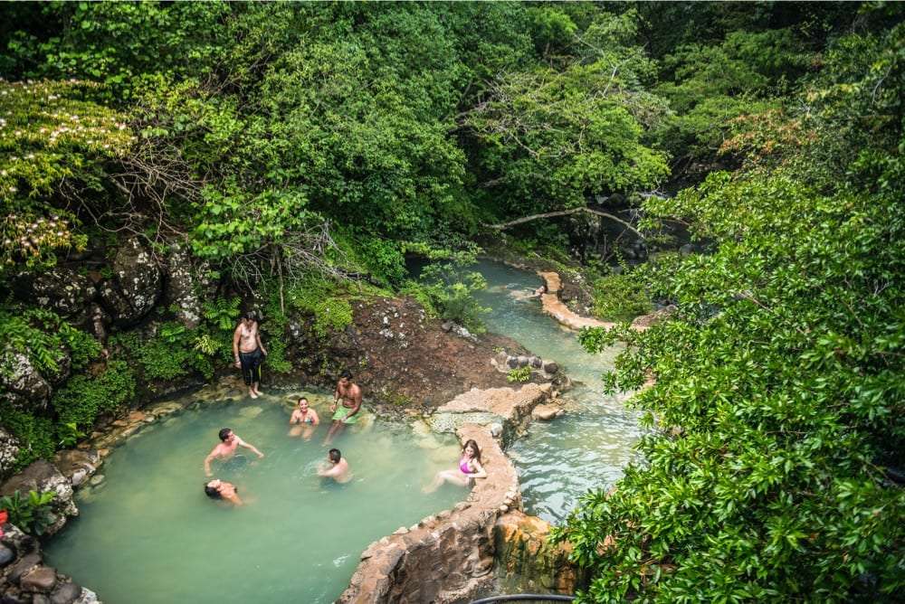 Swimmers relaxing in a stone-edged hot spring pool beneath green trees