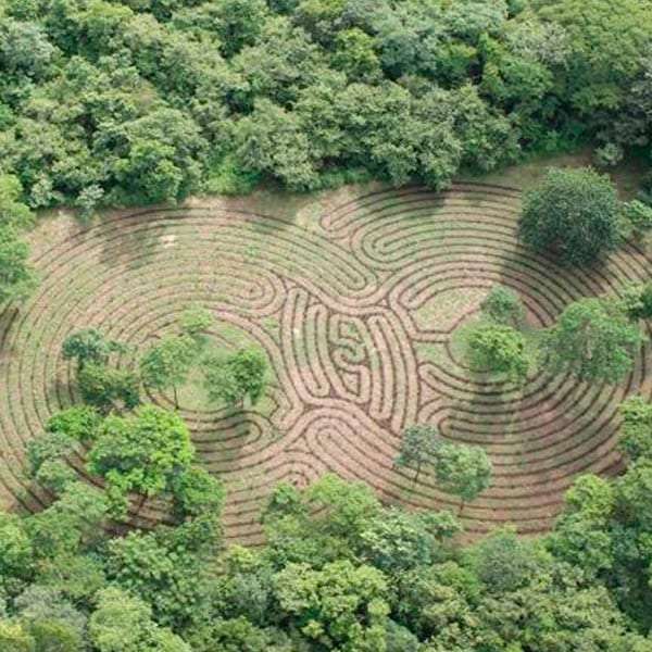 Aerial view of a large garden labyrinth surrounded by trees