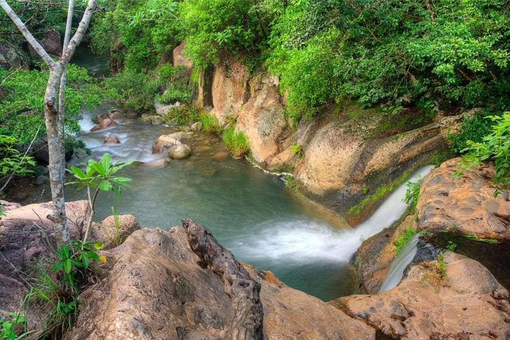Stream flowing over rock ledges into a shallow pool surrounded by dense green trees