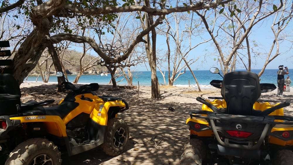 Yellow ATVs parked under bare trees above a turquoise bay