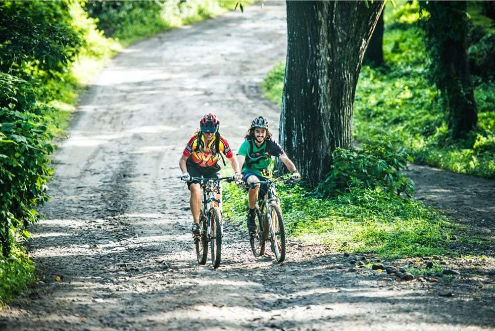 Two mountain bikers riding side by side up a wide dirt road beside green trees