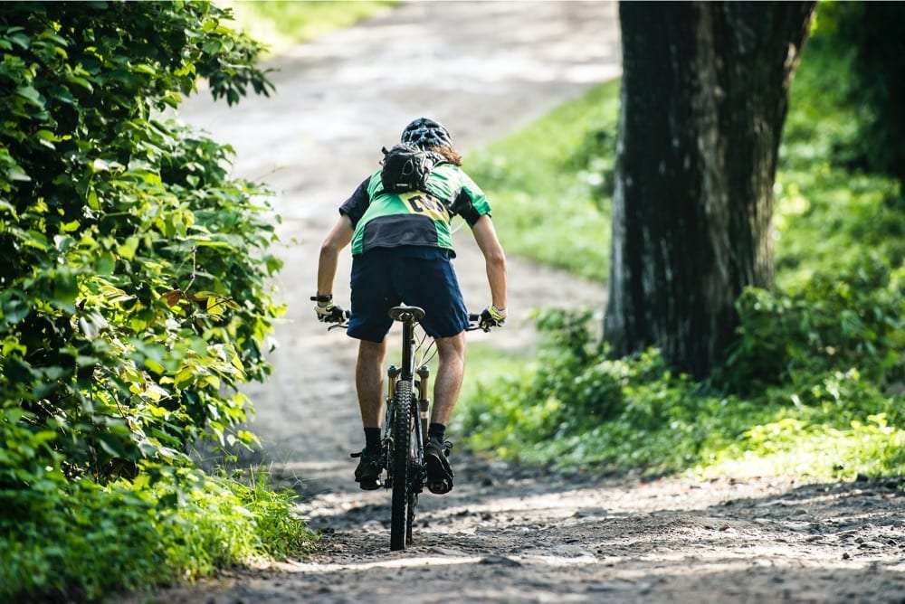 Mountain biker seen from behind riding along a dirt path between trees