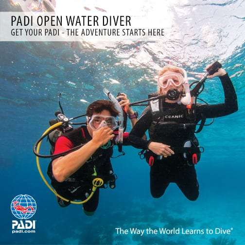 Two scuba divers in masks underwater with a PADI Open Water Diver banner