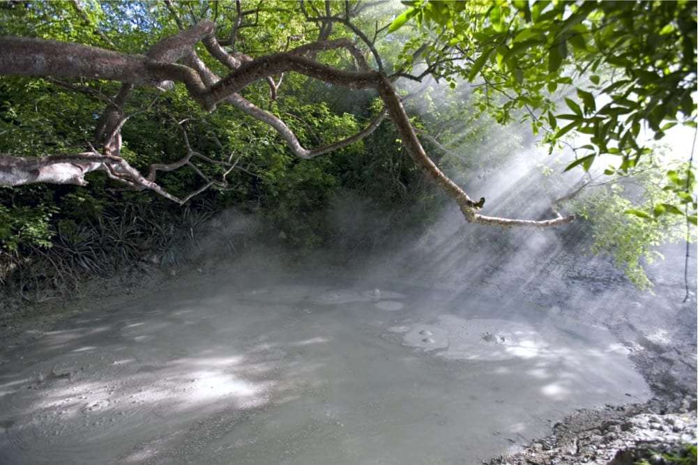 Steaming grey mud pool under a tree branch with sunbeams through the mist