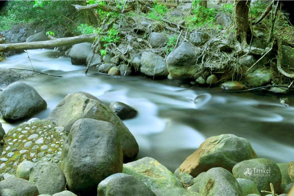 Clear stream flowing past large rounded boulders in a shaded forest