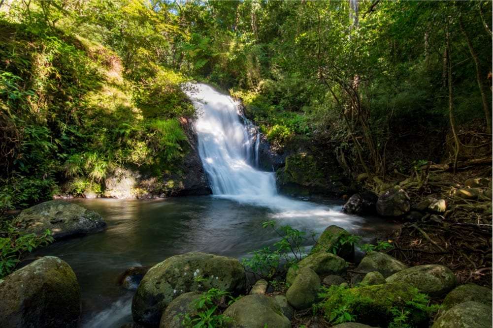 Small waterfall dropping into a calm forest pool with mossy rocks in front