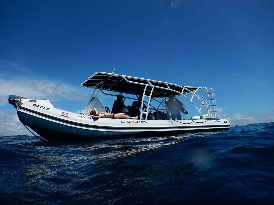 Dive boat with a white canopy and crew aboard on open sea under a blue sky