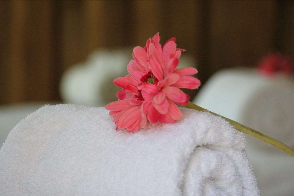 Pink flower resting on a rolled white towel in a spa room