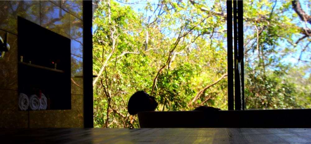 Silhouette of a person soaking in a tub beside a window facing the trees