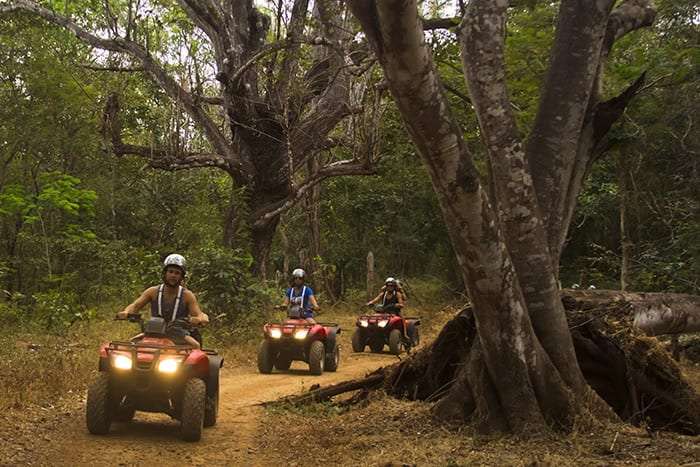 Three riders on red ATVs driving along a dirt path between large trees