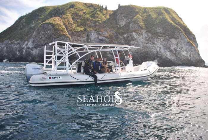 White inflatable dive boat with divers on board in front of a rocky green island