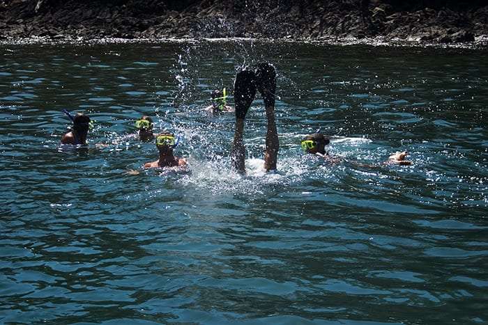 Snorkelers in masks floating in dark water while one person dives headfirst