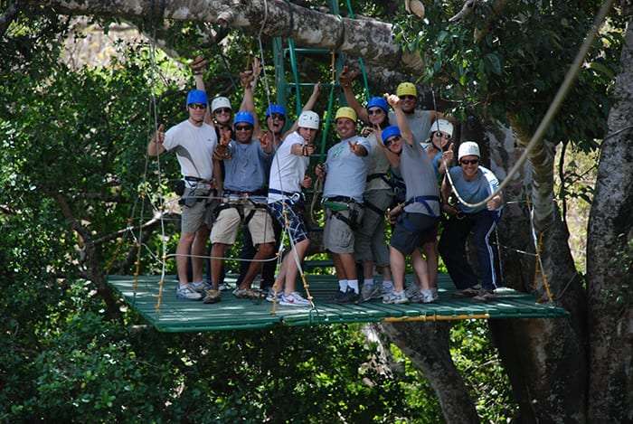 Group in helmets and harnesses cheering on a wooden platform built around a tree