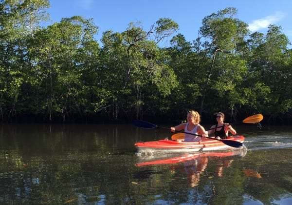 Two women paddling a red kayak past mangrove trees