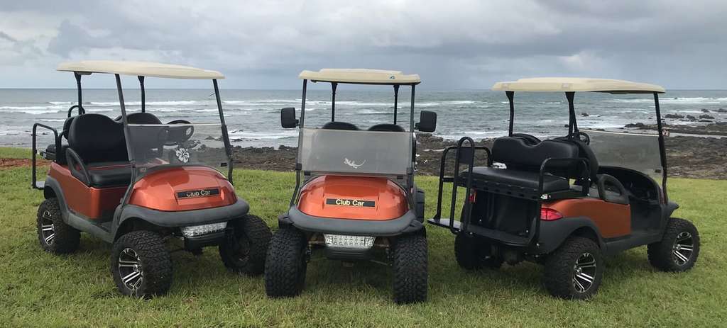 Three orange golf carts parked on grass in front of the sea