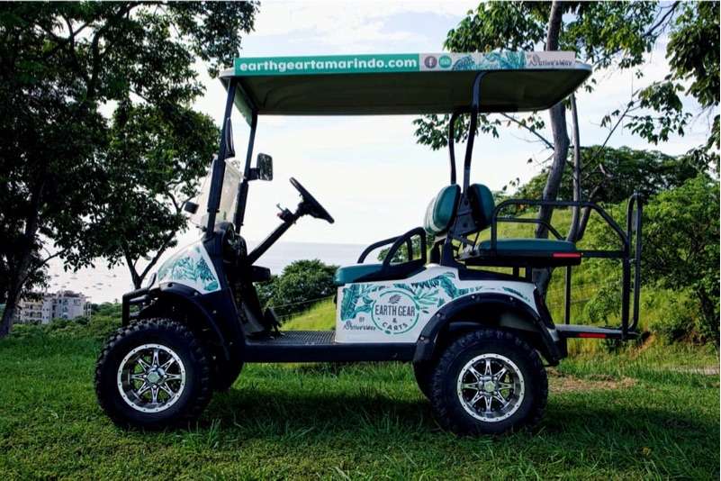 Electric golf cart with leaf-pattern decals parked on grass above the sea