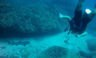 PADI Courses with Tamarindo Diving