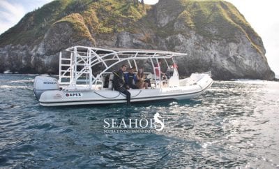 Private Boat Charter – Seahorse