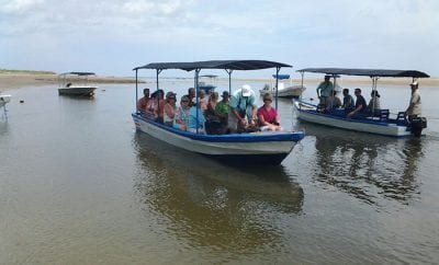 Tamarindo Estuary Boat Tour with Arenas Adventure